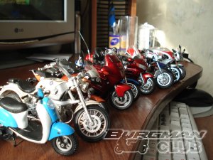 ��� �  � ���� ������ ���� ���������    