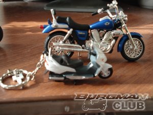 ��� �  � ���� ������ ���� ���������    